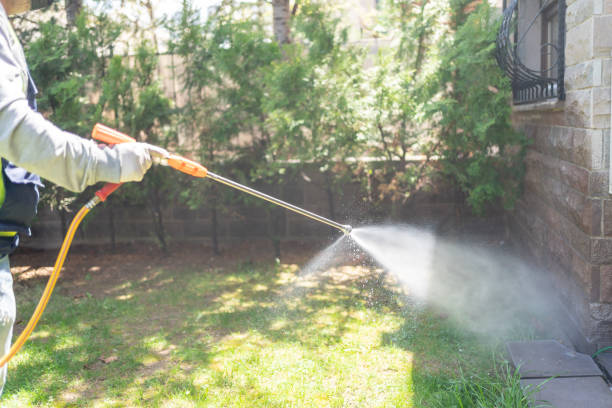 Best Fumigation Services  in South St Paul, MN